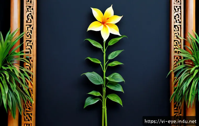 안과 초음파 진단 리뷰 관련 이미지 2