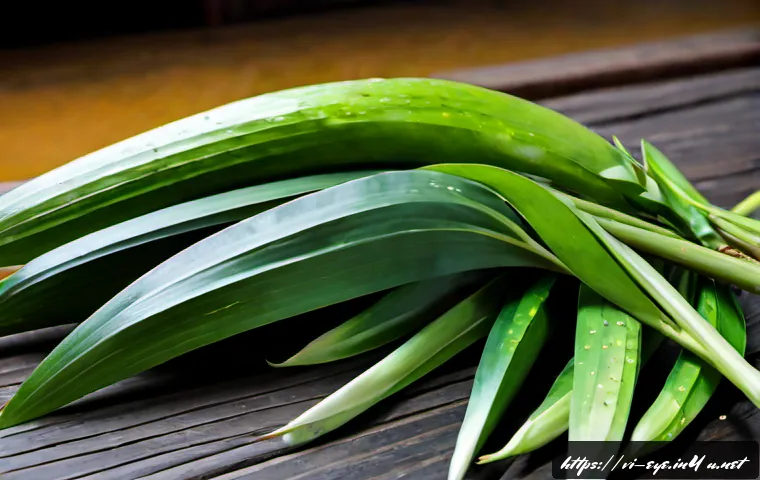 Sơ cứu chấn thương mắt: Làm gì ngay, khi nào cần đi cấp cứu và cách chọn nơi khám 4 눈 외상 응급처치 관련 이미지 2